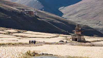 Dolpo with crops in the fields